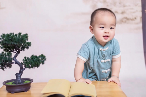 黄石可爱的企鹅宝宝